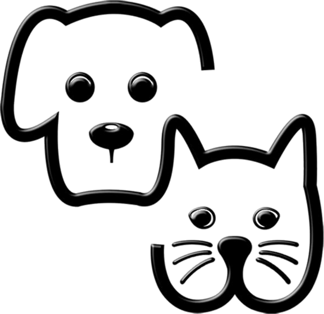 Bringing Joy Home, One Pet at a Time